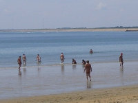 crb_plage_v.jpg