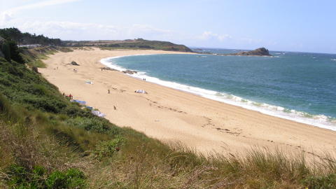 Les Chevrets / La Guimorais (35)